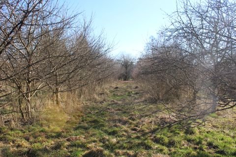 Peißenberg Grundstücke, Peißenberg Grundstück kaufen