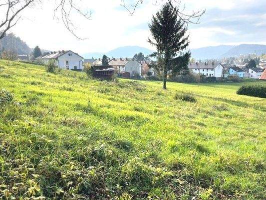 PHOTO-2024-11-05-13-25-00 (6).jpg