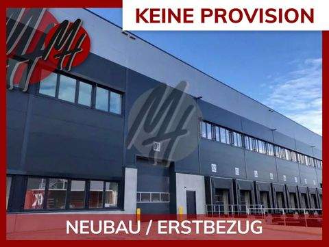 Böblingen Halle, Böblingen Hallenfläche