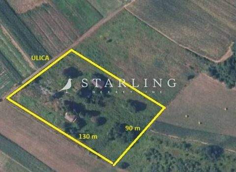 Sveti Ivan Zelina Bauernhöfe, Landwirtschaft, Sveti Ivan Zelina Forstwirtschaft