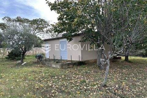 Sikici - Busoler Bauernhöfe, Landwirtschaft, Sikici - Busoler Forstwirtschaft