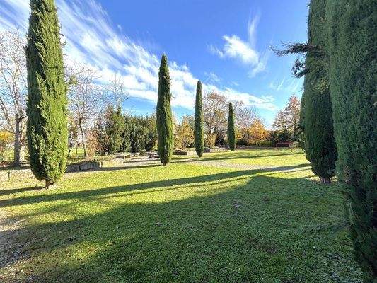 gemeinschaftliche, parkähnliche Gartenanlage