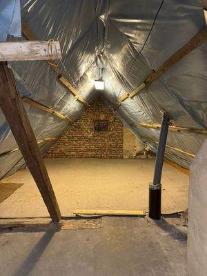 WhatsApp Image 2026-03-09 at 02.28.56 (10).jpeg