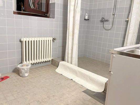 Hauswirtschaftsraum inkl. Dusche