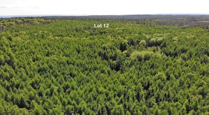 Cape Breton - Shaw Lake - 11,2 Hektar-Areal in her