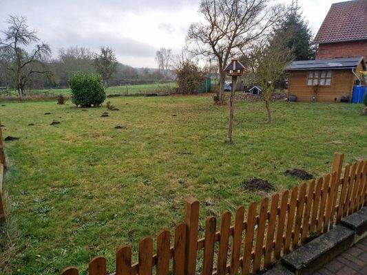 Blick auf das Grundstück