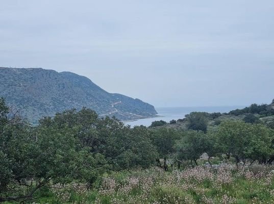 Kreta, Plaka Elounda: Baugrundstück mit Meerblick zu verkaufen