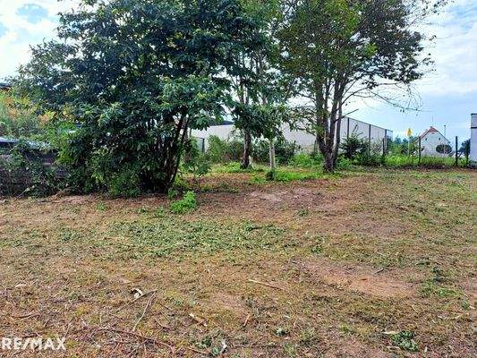 IMG-20230818-WA00021