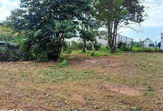 IMG-20230818-WA00021