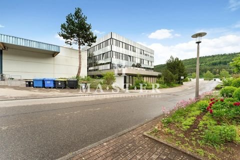 Wurmlingen Büros, Büroräume, Büroflächen 