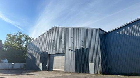 Bremen Halle, Bremen Hallenfläche