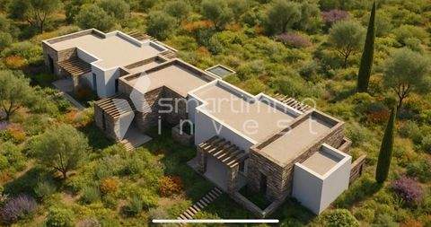 Glysidia, Paros Bauernhöfe, Landwirtschaft, Glysidia, Paros Forstwirtschaft