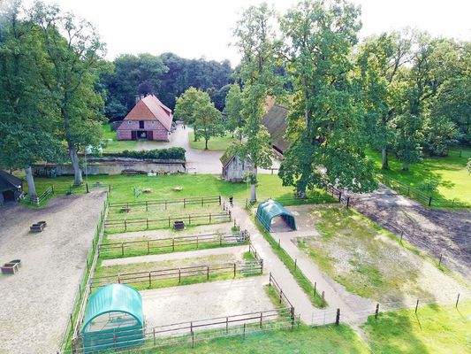 Ein Traum für Mensch und Tier