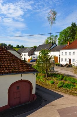 Bild 12