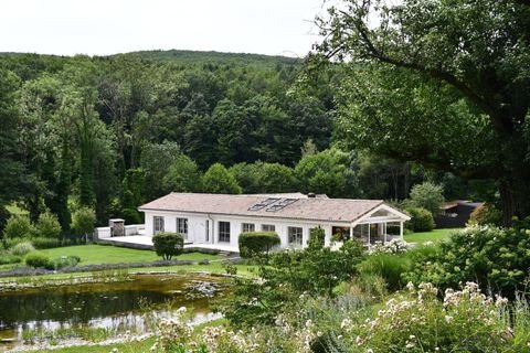 Wolfsgraben Häuser, Wolfsgraben Haus kaufen