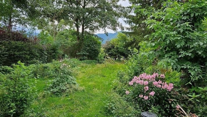 Garten mit Bergblick.jpg