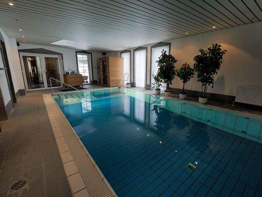 Schwimmhalle mit Blick zum Wohn- und Gartenbereich