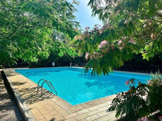 IMG_0110 - Copia.JPEG