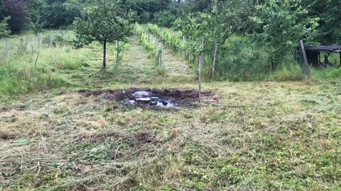 Winterbach Bauernhöfe, Landwirtschaft, Winterbach Forstwirtschaft