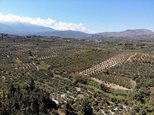 Kreta, Kera: Grundstücke mit Meer- und Bergblick nahe Kalyves zu verkaufen