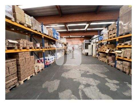 Hamburg Halle, Hamburg Hallenfläche