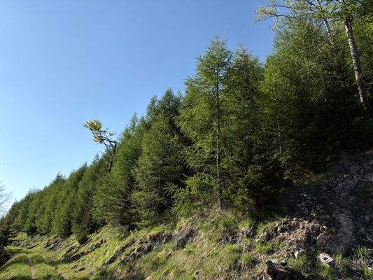 2025-05-13 17.12.10.jpg