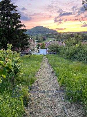 3838df81-34c7-4e2e-9108-63ce02f5dbac