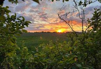 IMG_0655.JPEG