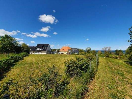 Blick über das Grundstück