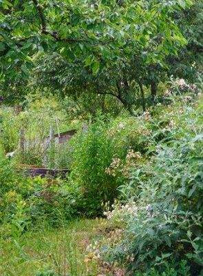 Natur erleben - Gärten in Ebenen