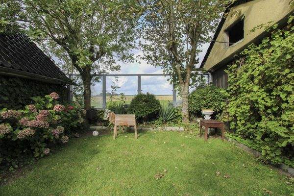 Blick zum Deich nach Westen