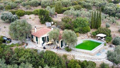 Frankfurt am Main Häuser, Frankfurt am Main Haus kaufen