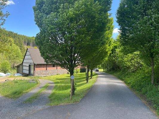 Allee-Zufahrt Bild 1