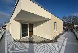 Penthouse Anfang 2026