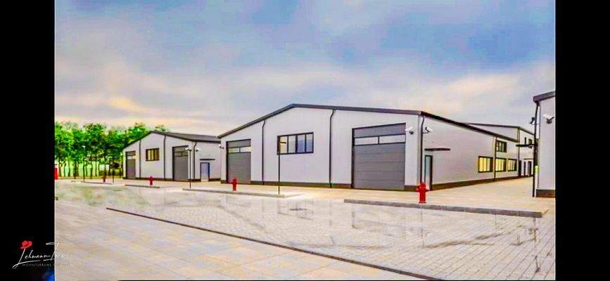 Rendering / Visualisierung