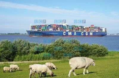 8b4edacd-e696-4c71-98e5-414c7f9ed7f9-1909042367