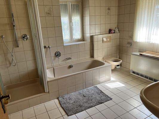 Tageslichtbad mit Wanne/Dusche