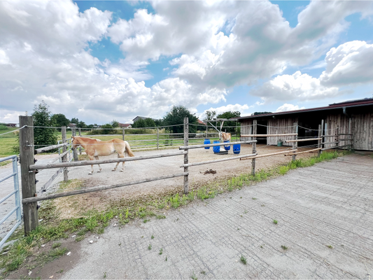 Außenbereich mit Ringgummimatten