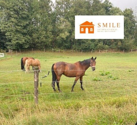 Küstrin Häuser, Küstrin Haus kaufen