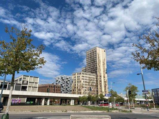 20250905_1220_HOHO_ANF