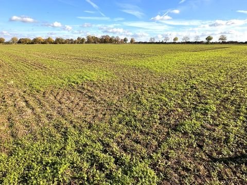 Nörvenich Bauernhöfe, Landwirtschaft, Nörvenich Forstwirtschaft