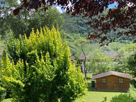 Ausblick von der Terrasse