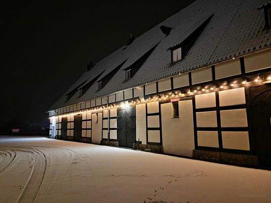 Hofreite  Winterwonderland