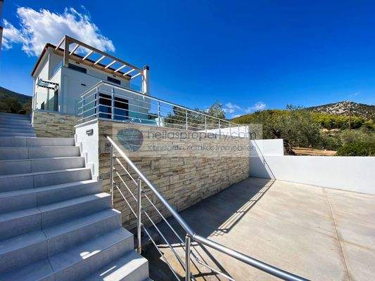 f04f45a87cd94c61a9c517c7b1d3311c-original