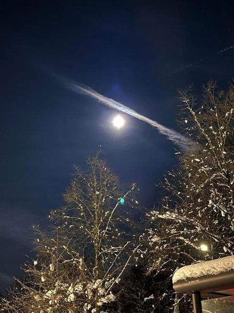 Vohburg Häuser, Vohburg Haus kaufen