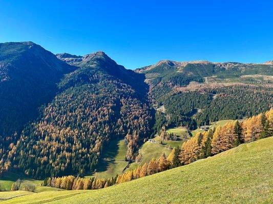 Traumhaus-Sarntal-Traumblick-Panorama-Kuot-Schneehase-20-min-zum-zentrum-Hof-geschlossener Hof-Zweitwohnung-Südtirol-Hof-Maso-Sarentino-Berghaus-