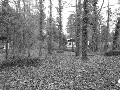 Mühlenbecker Land Grundstücke, Mühlenbecker Land Grundstück kaufen