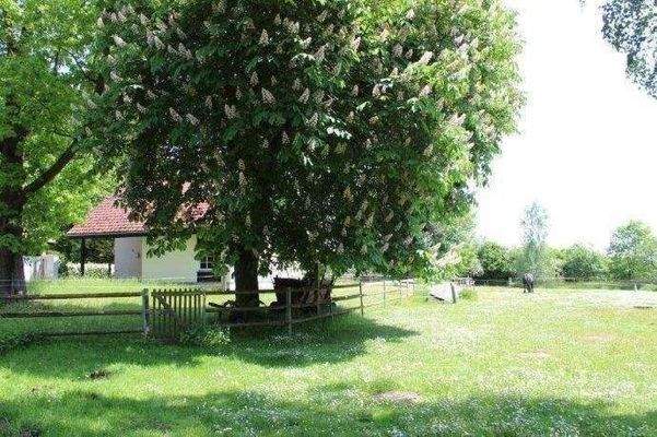 Kleine Pferdekoppel am Hotel