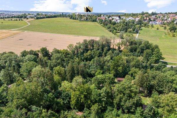 Investition mit Weitblick