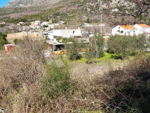 Dubrovnik Bauernhöfe, Landwirtschaft, Dubrovnik Forstwirtschaft